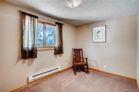 33664 Freda Rd, Pine, CO 80470 photo 15