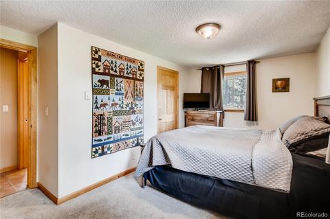 33664 Freda Rd, Pine, CO 80470 photo 13