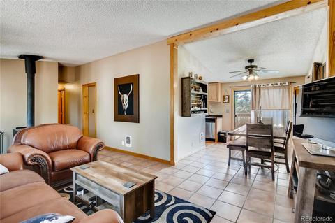 33664 Freda Rd, Pine, CO 80470 photo 5
