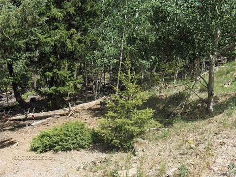 1421 Blacksmith Rd, Hartsel, CO 80449 photo 5