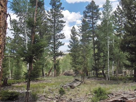 1421 Blacksmith Rd, Hartsel, CO 80449 photo 1