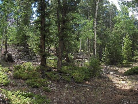 1421 Blacksmith Rd, Hartsel, CO 80449 photo 2