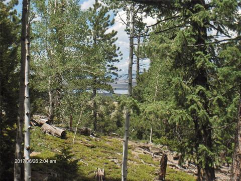 1421 Blacksmith Rd, Hartsel, CO 80449 photo 4