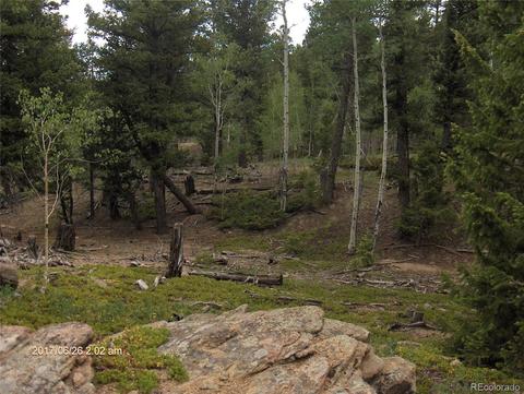 1421 Blacksmith Rd, Hartsel, CO 80449 photo 6
