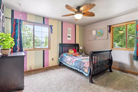 540 Rainbow Pl, Windsor, CO 80550 photo 24
