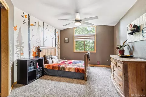 540 Rainbow Pl, Windsor, CO 80550 photo 23