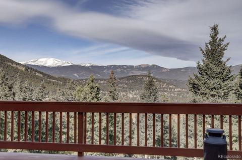 201 N Ridge Rd, Bailey, CO 80421 photo 33