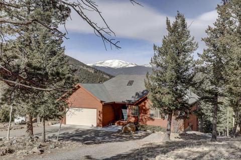 201 N Ridge Rd, Bailey, CO 80421 photo 2