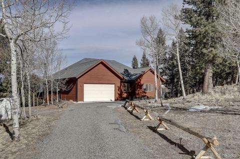 201 N Ridge Rd, Bailey, CO 80421 photo 37