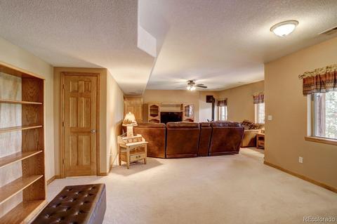 201 N Ridge Rd, Bailey, CO 80421 photo 26