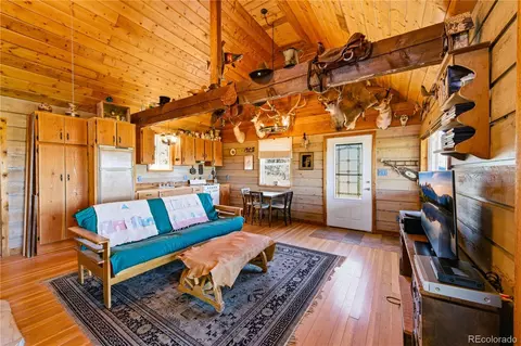Living - 2126 E Path, Cotopaxi, CO 81223 photo 3 of 4