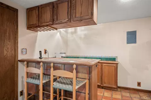65 Doe Cir, Bailey, CO 80421 photo 15