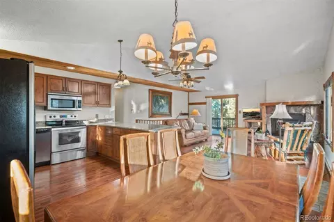 65 Doe Cir, Bailey, CO 80421 photo 31