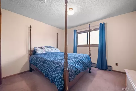65 Doe Cir, Bailey, CO 80421 photo 10