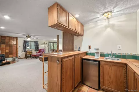 65 Doe Cir, Bailey, CO 80421 photo 14