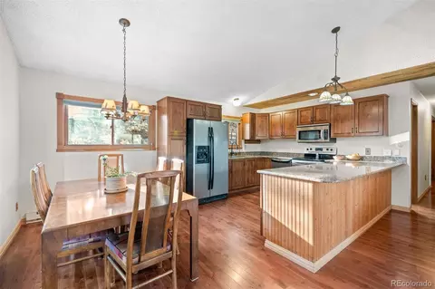 65 Doe Cir, Bailey, CO 80421 photo 6