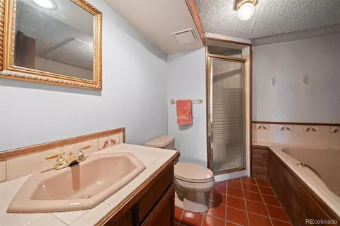 65 Doe Cir, Bailey, CO 80421 photo 17