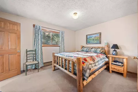 65 Doe Cir, Bailey, CO 80421 photo 8