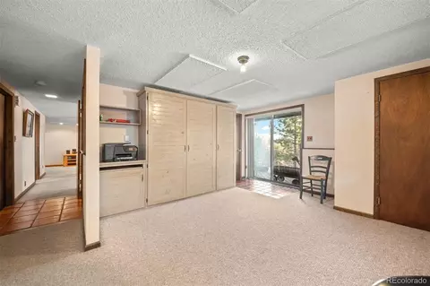 65 Doe Cir, Bailey, CO 80421 photo 16