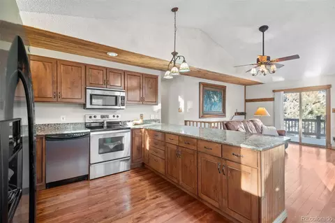 65 Doe Cir, Bailey, CO 80421 photo 32