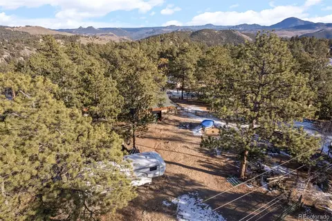 65 Doe Cir, Bailey, CO 80421 photo 33
