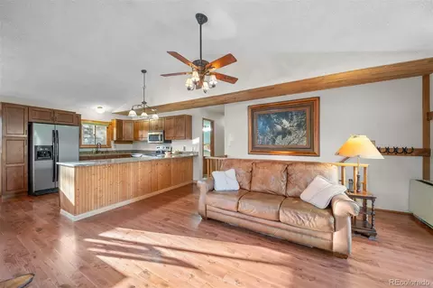 65 Doe Cir, Bailey, CO 80421 photo 29