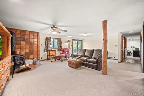 65 Doe Cir, Bailey, CO 80421 photo 12