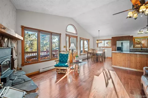 65 Doe Cir, Bailey, CO 80421 photo 5
