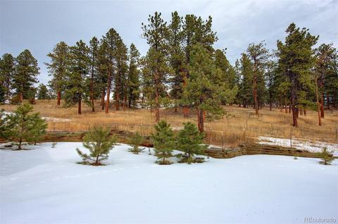 30217 Sunset Trl, Pine, CO 80470 photo 32