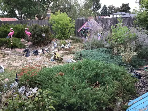 Exterior - 3561 E 118th Ave, Denver, CO 80233 photo 7 of 8