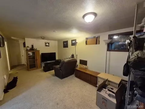 Living - 3561 E 118th Ave, Denver, CO 80233 photo 3 of 3