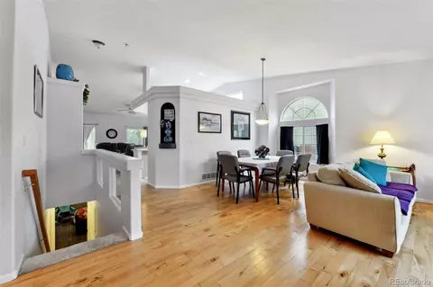 4819 Jericho Ct, Denver, CO 80249 photo 6