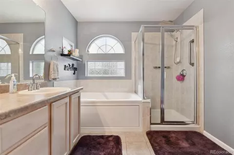 4819 Jericho Ct, Denver, CO 80249 photo 18