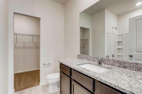 7417 Blue River Ave, Frederick, CO 80530 photo 11
