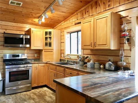 117 Elk Creek Dr, Bailey, CO 80421 photo 1
