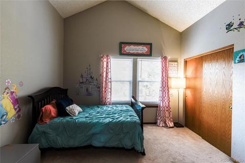 2923 E 116th Pl, Thornton, CO 80233 photo 17