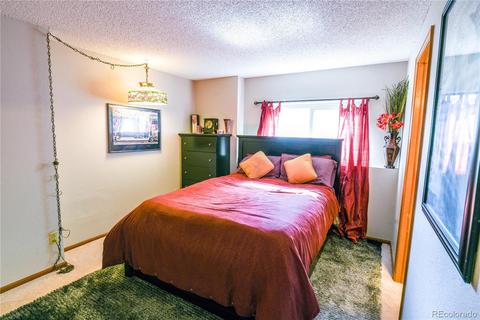 2923 E 116th Pl, Thornton, CO 80233 photo 19