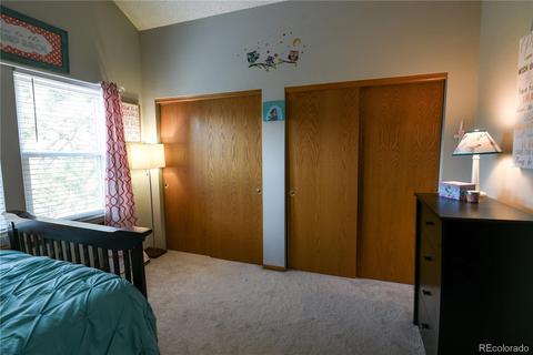 2923 E 116th Pl, Thornton, CO 80233 photo 18