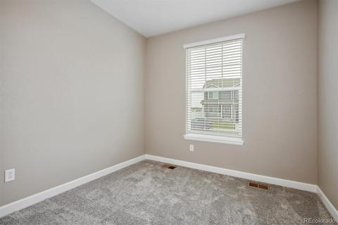 4532 Hollycomb Dr, Windsor, CO 80550 photo 3