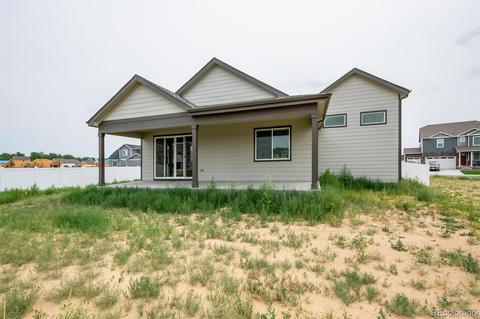 4532 Hollycomb Dr, Windsor, CO 80550 photo 19