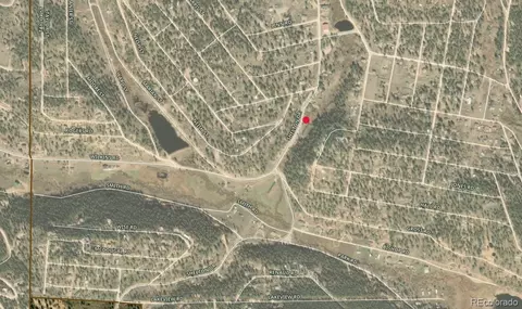 2004 Shelton Dr, Bailey, CO 80421 photo 3