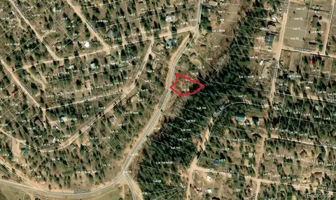 2004 Shelton Dr, Bailey, CO 80421 photo 2