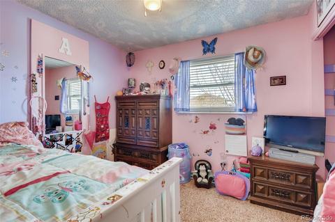 10040 E 157th Ave, Brighton, CO 80602 photo 23