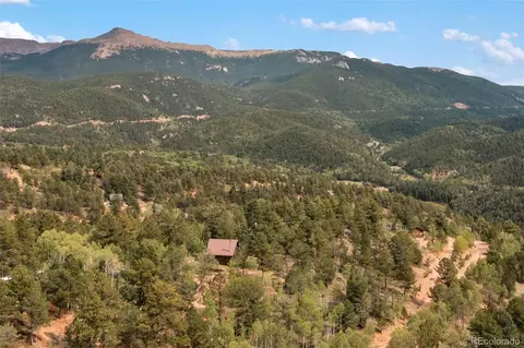 75 Grosbeak Cir, Divide, CO 80814 photo 33