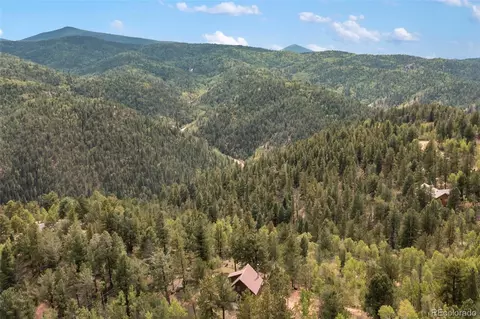 75 Grosbeak Cir, Divide, CO 80814 photo 34