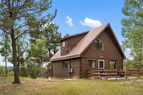 75 Grosbeak Cir, Divide, CO 80814 photo 45