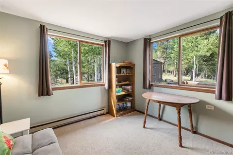 75 Grosbeak Cir, Divide, CO 80814 photo 17