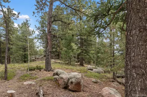 75 Grosbeak Cir, Divide, CO 80814 photo 40