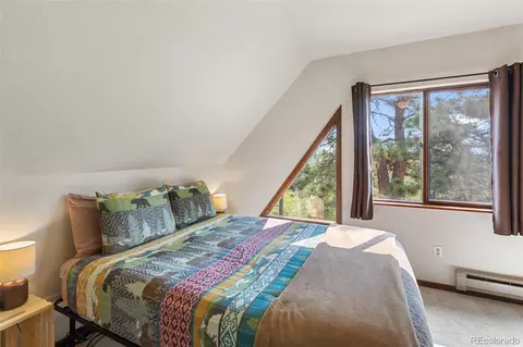 75 Grosbeak Cir, Divide, CO 80814 photo 23