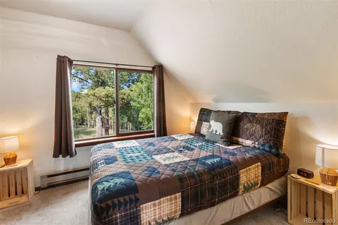 75 Grosbeak Cir, Divide, CO 80814 photo 29